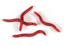 images/productimages/small/80-7707-artificial-redworm-soft-2.jpg