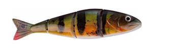 images/productimages/small/afbeelding2.jpg.png