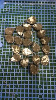 20 x 100g Grippa M16