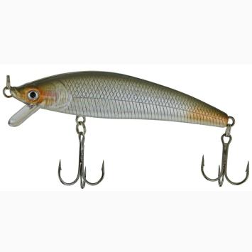 Asp Shad 0849