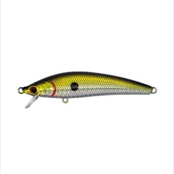 Asp Shad 0856