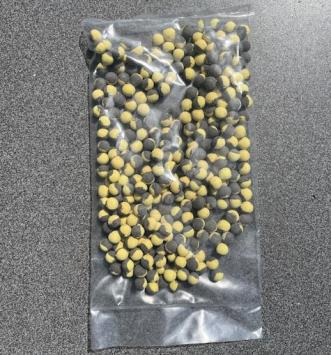 Pop-Ups 10mm