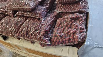Fish Garlic Robin Red 5 kilo 25mm