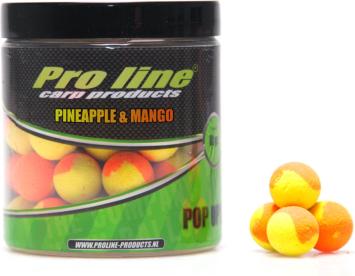 Dual Color Pop-Up Pineapple & Mango 15mm